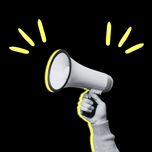 Loi du 29 juillet 1881 sur la liberté de la presse