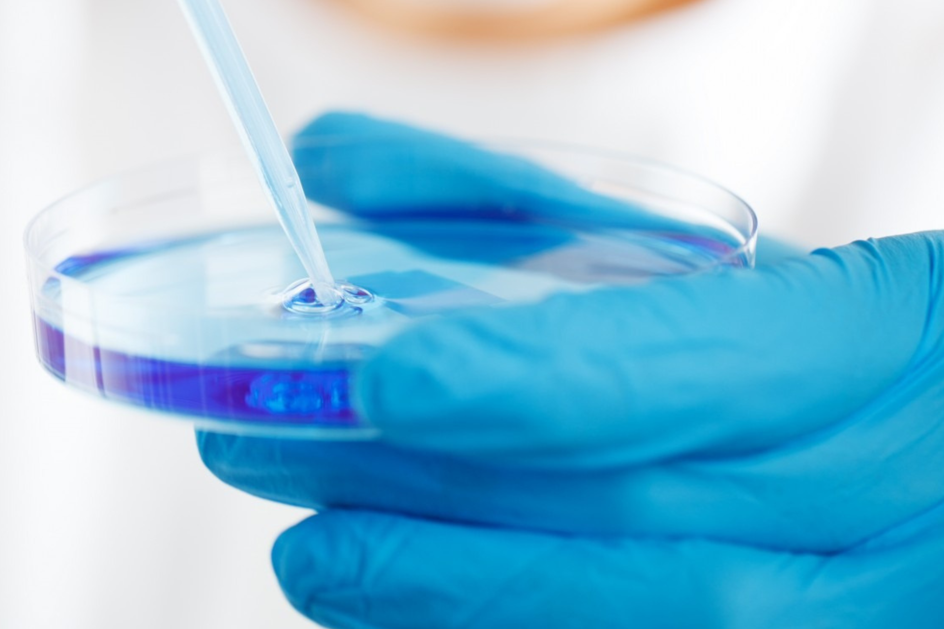 L’iode est-il une solution miracle pour prévenir les cancers du sein et de la prostate ?