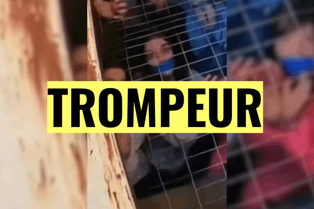 Attention à ces fausses images illustrant le sauvetage de 163 enfants portés disparus en Floride