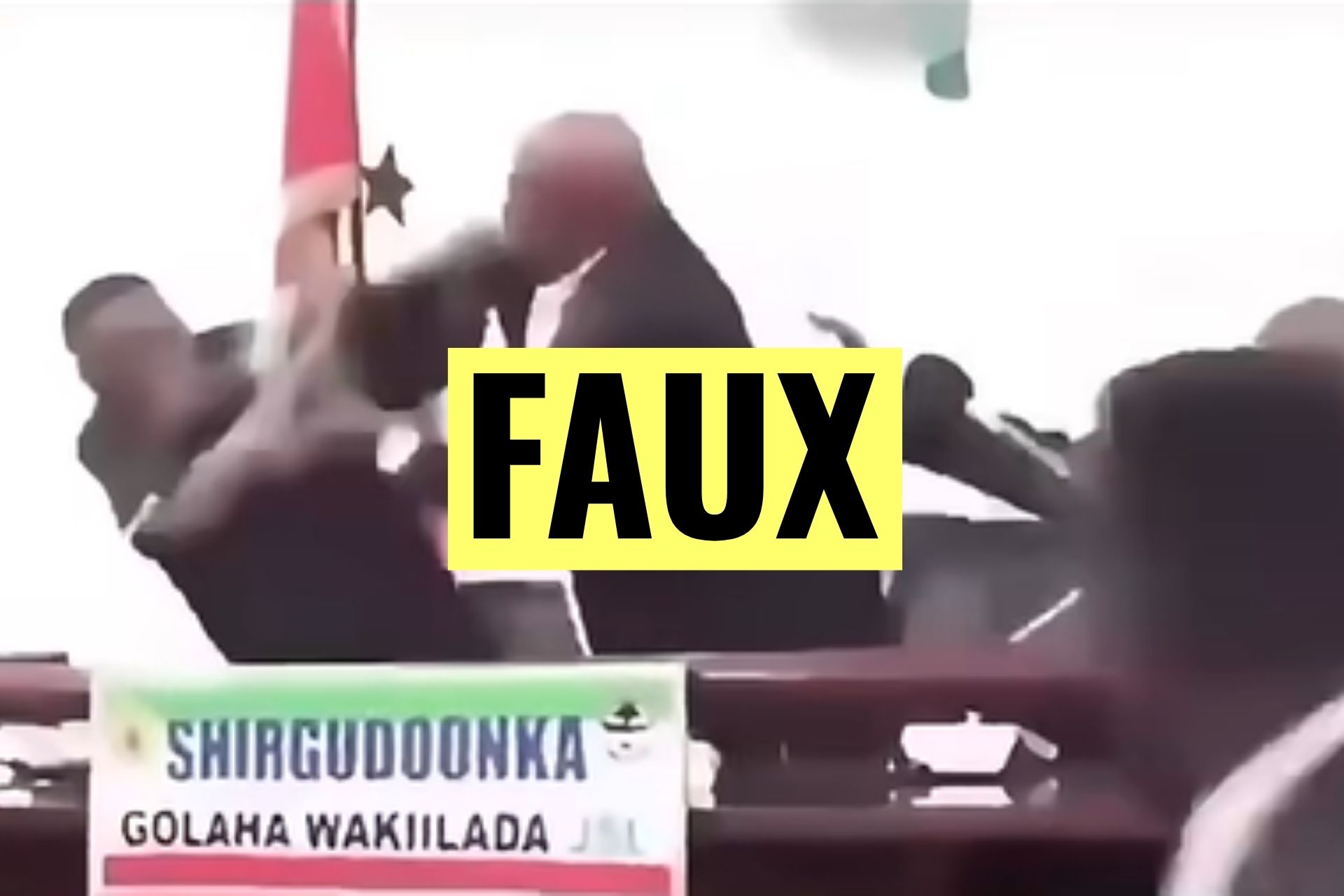 Attention à cette vidéo censée montrer une bagarre entre le président somalien et le président de son assemblée